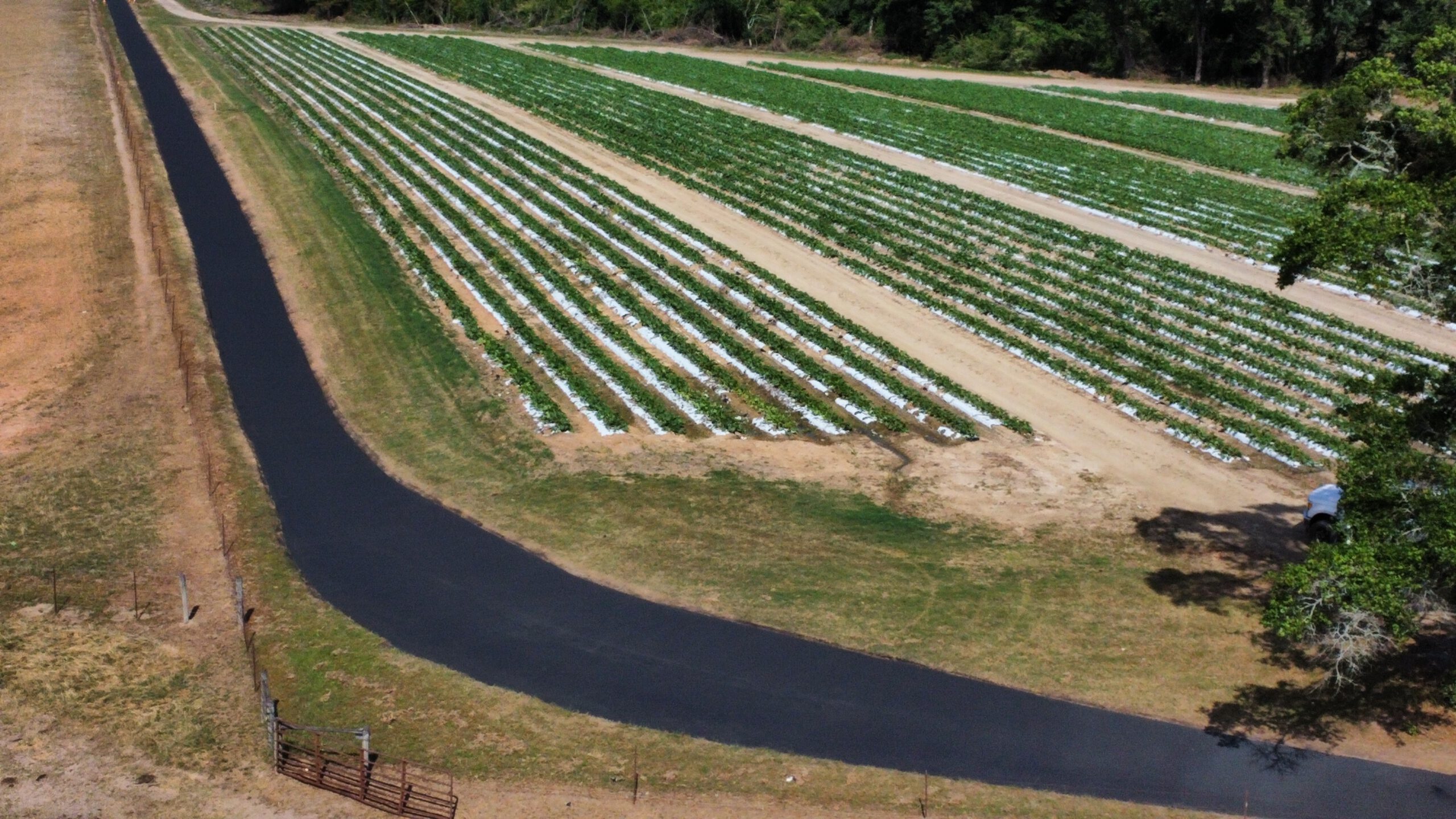 Crack sealing on asphalt surface