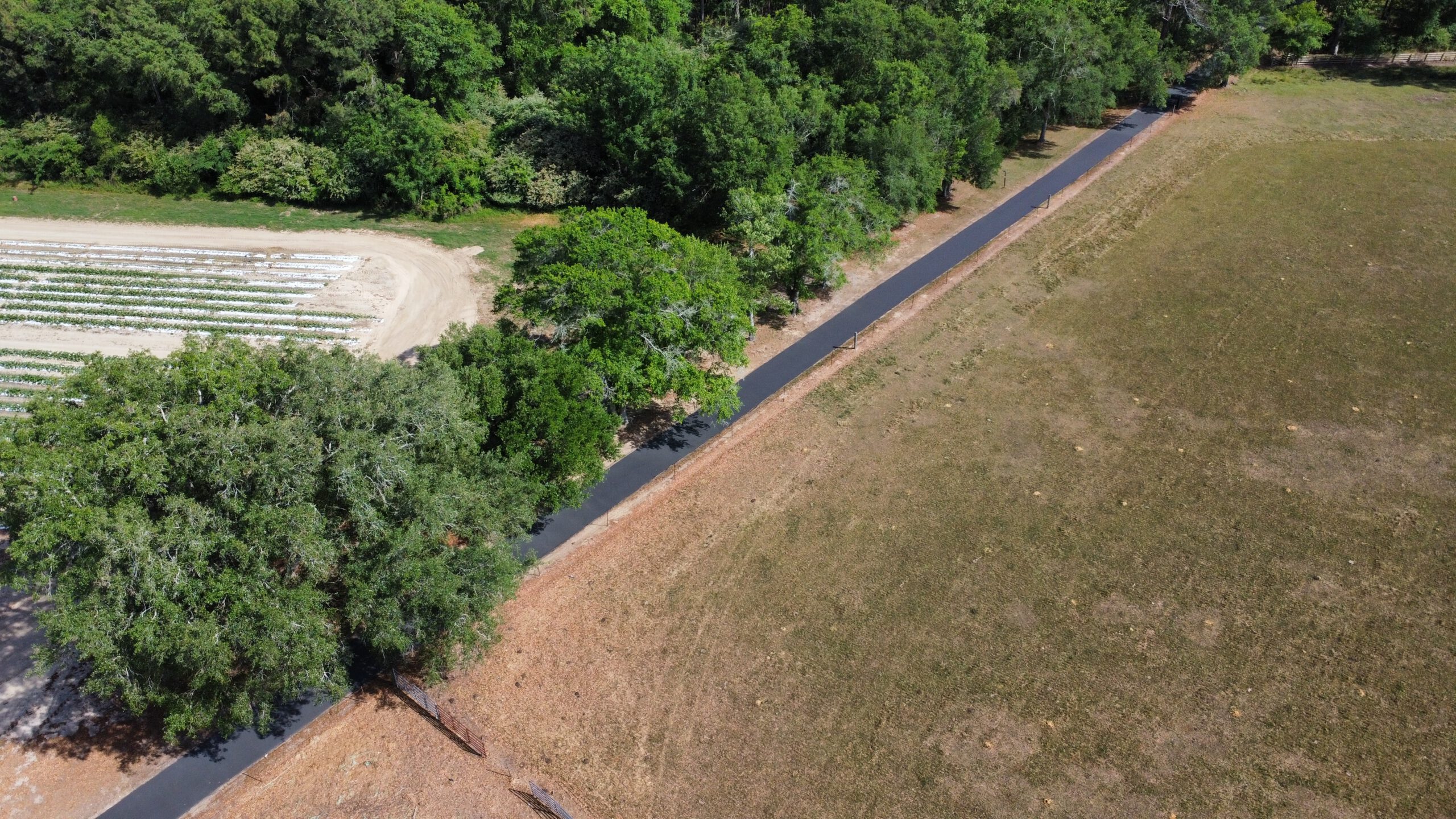 Asphalt repair work in progress